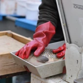 Projekt bez nazwy (57)