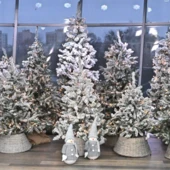 Projekt bez nazwy (83)