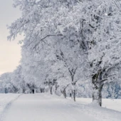 Śnieg. Fot. Pexels.