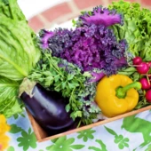 jillwellington-vegetables-790022