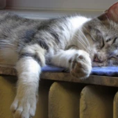 1280x720 - 2025-12-02T131921.345