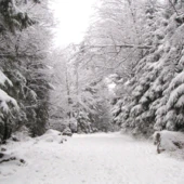 Projekt bez nazwy-137