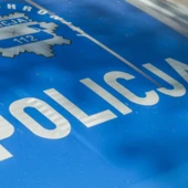 policja