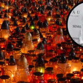 Projekt bez nazwy (66)