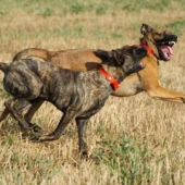 69a00975046ce-dfeeaf0bd94e