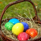 Projekt bez nazwy(28)