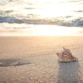 c9ec5734-2c06-4941-a67b-f59117923198