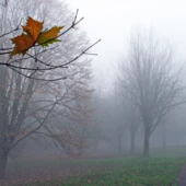 Projekt bez nazwy(1)