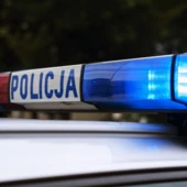 policja