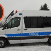 Policja, zakaz wycinania drzew