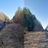 Pociąg, wypadek. Fot. Facebook@KP PSP w Hajn&oacute;wce.