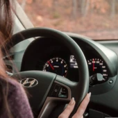 oknesanofa-behind-the-wheel-4789777