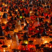 Projekt bez nazwy (53)